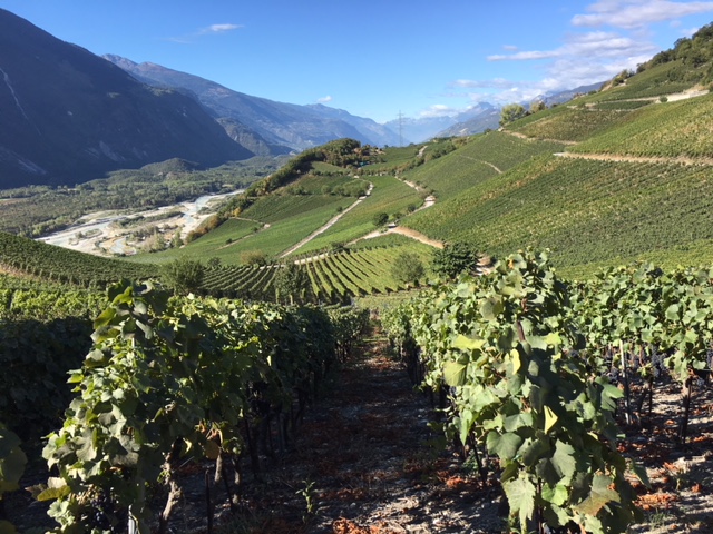 i vigneti di Varen