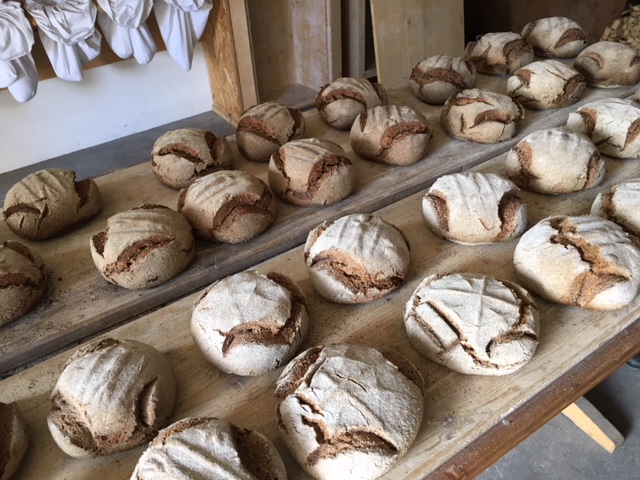 pane di segale