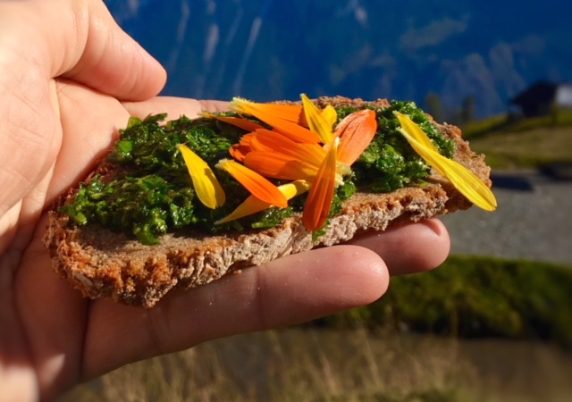 tartare di erbe commestibili