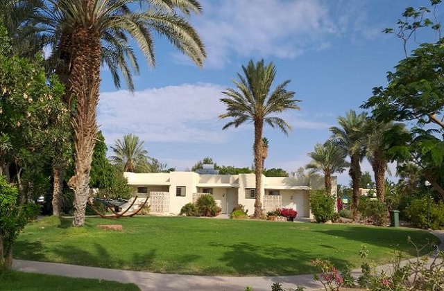 kibbutz