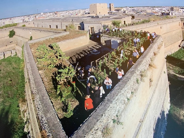 Vigneto sul Castello