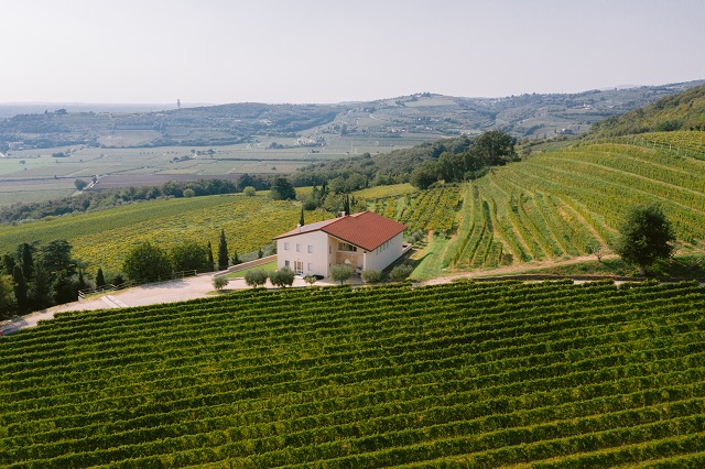 Talestri - cantina e panorama