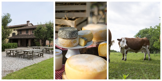 Autentico produttori 