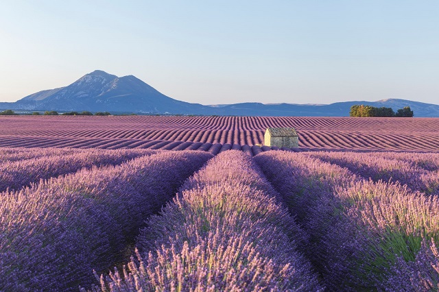  Provence - Photo Credit @GettyImages