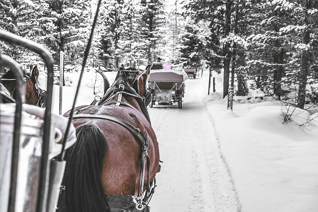 Carlton St.Moritz_Carriage Ride