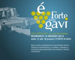 logo Golden Gavi 2012
