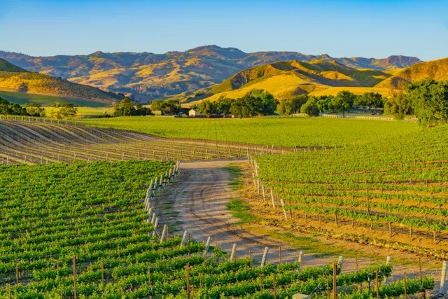 Santa Ynez Valley - California