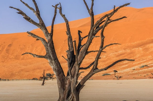 Deadvlei-Namibia