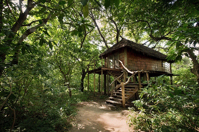 &Beyond Lake Manyara Tree Lodge