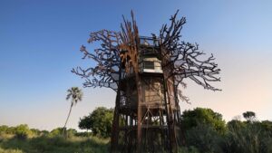 Xigera Baobab Treehouse