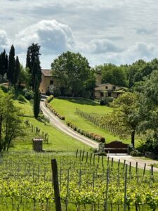 Tenuta Romignano