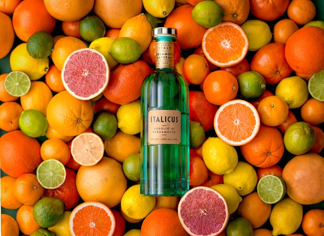 ITALICUS 