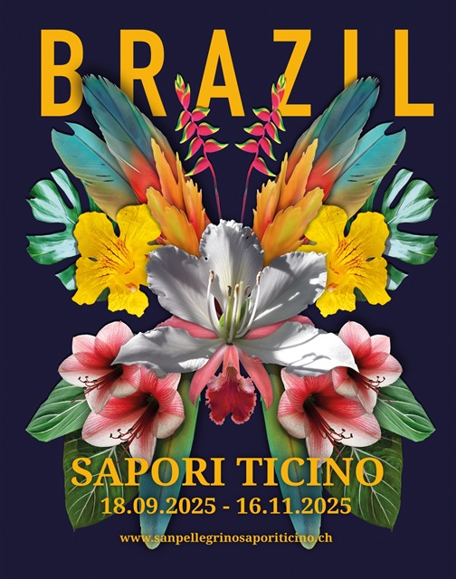 SPST 2025 BRAZIL