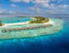 Maldive
