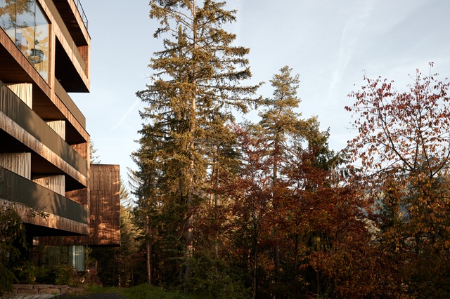 Saltus @Konstantin Volkmar