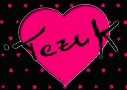logo Tezuk