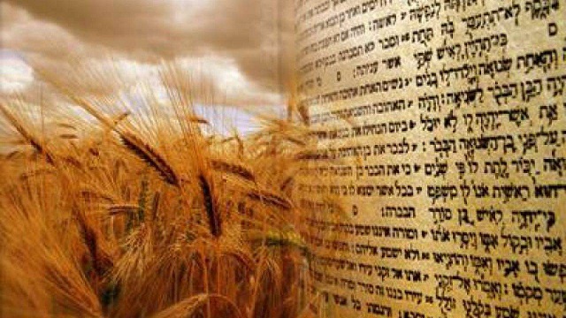 Photo Credit @goisrael