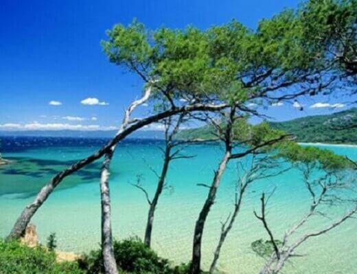 Porquerolles @cotedazurfrance @CamilleMoirenc