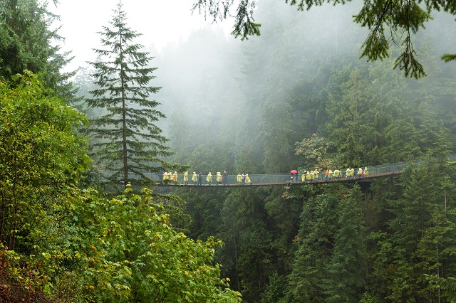 Capilano Suspension Bridge - GettyImages