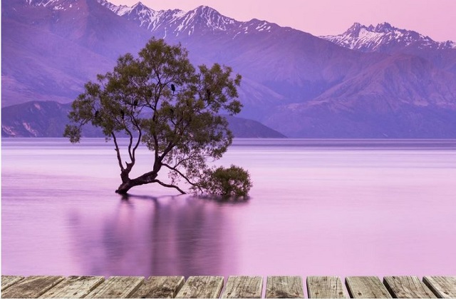 Wanaka -New Zealand-copertina