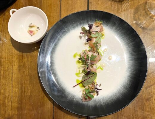 ceviche di trota bianca, salsa al vino bianco e salicornia
