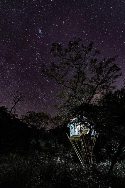 Treeful Treehouse Sustainable Resort