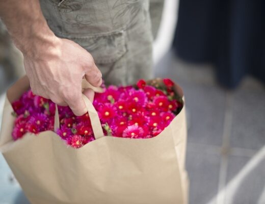 Merano Flower Festival @KarlheinzSollbauer