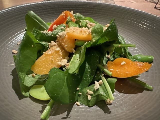 insalata di inizio estate con spinacino, albicocche, nespole, anacardo, fave, rucola