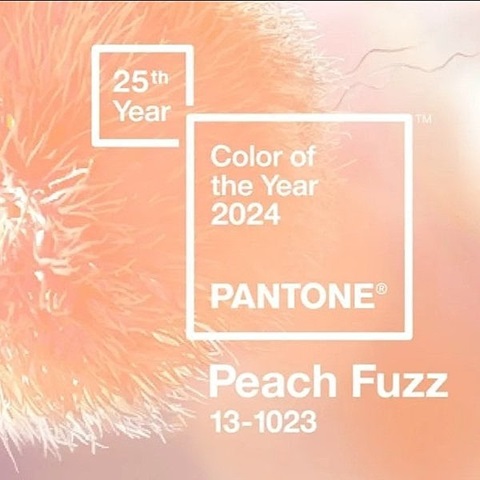 PANTONE COLOR OF THE YEAR 2024