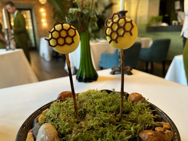 llipop di latte di pecora, cera d'api