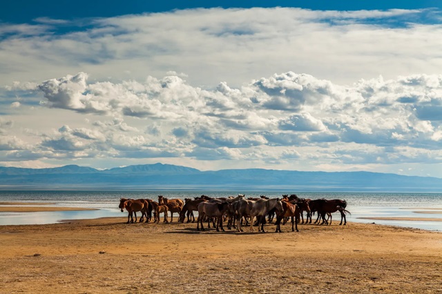 Mongolia - @AntonPetrus - Getty Images