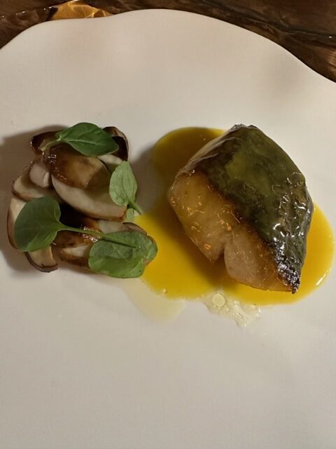 Ombrina, porcino alla brace, salsa d'ostriche, zafferano e germogli di crescion