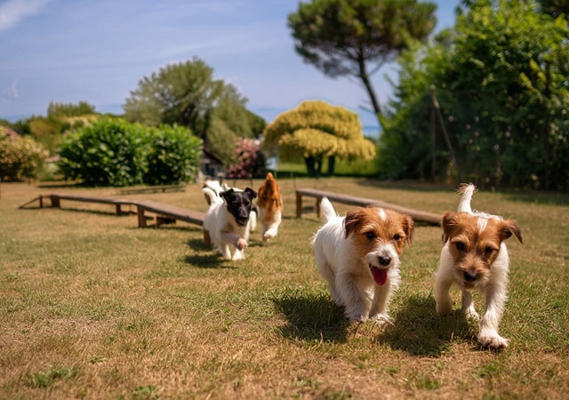 Club del Sole - Desenzano Boutique Resort