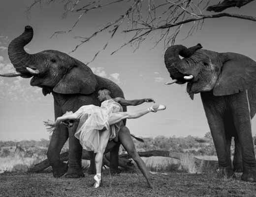 01_Dancing with nature I by Ruggero Rosfer