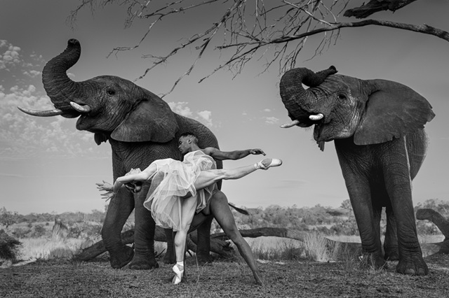 01_Dancing with nature I by Ruggero Rosfer