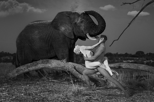 02_Dancing with nature III by Ruggero Rosfer