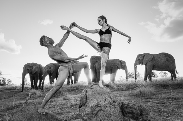 04_Dancing with nature X by Ruggero Rosfer