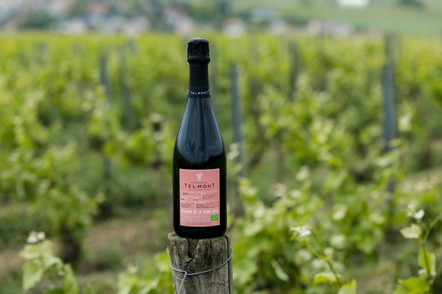 Telmont Réserve de la Terre Rosé Bio