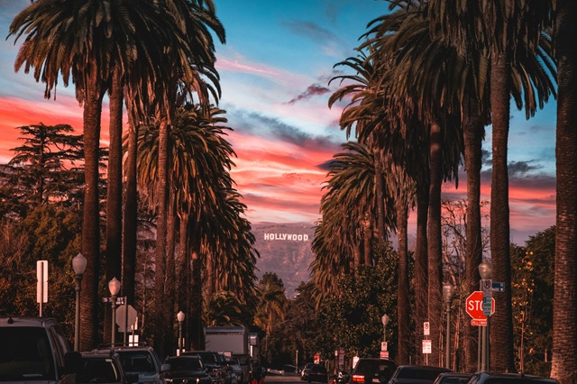 Photo Credit @unsplash