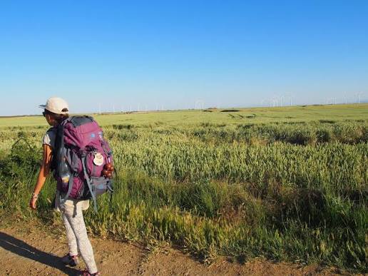 Camino di Santiago