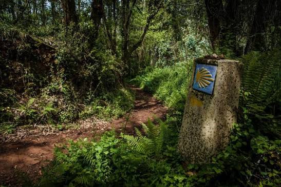 camino di Santiago